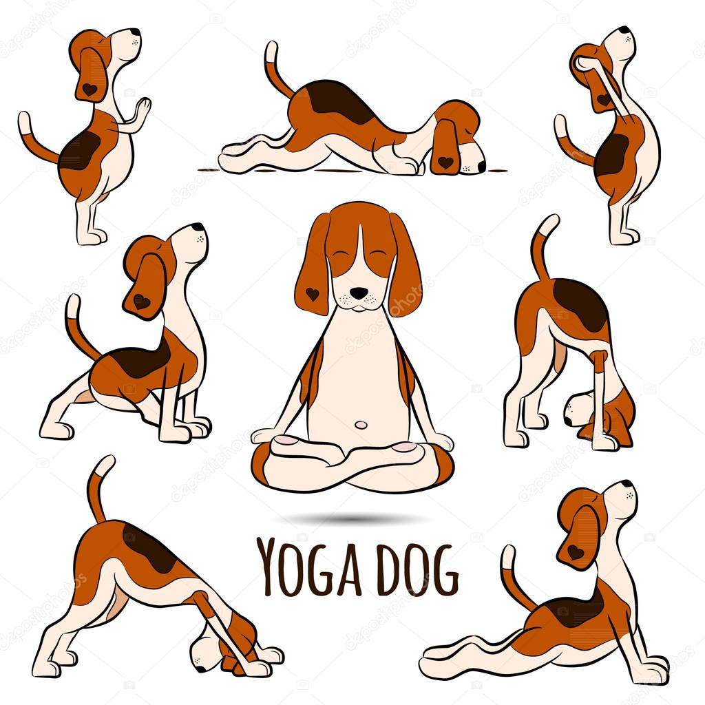 Yoga dog: ITBP canine celebrates International Yoga Day | Fortune Post