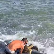 Man Climbs Down Slippery Boulders at Beach to Rescue Trapped Turtle
