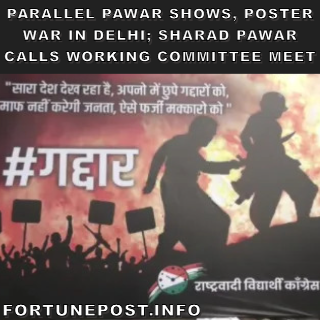 Parallel Pawar Shows, Poster War In Delhi; Sharad Pawar Calls Working Committee Meet