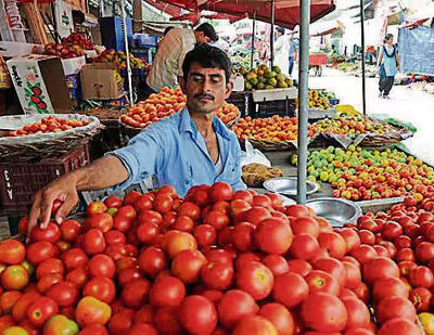 As rains landslides hit supply tomato rates touch ₹250 per kg in Chandigarh