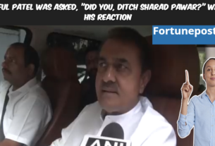 Praful Patel Was Asked, Did You, Ditch Sharad Pawar Watch His Reaction