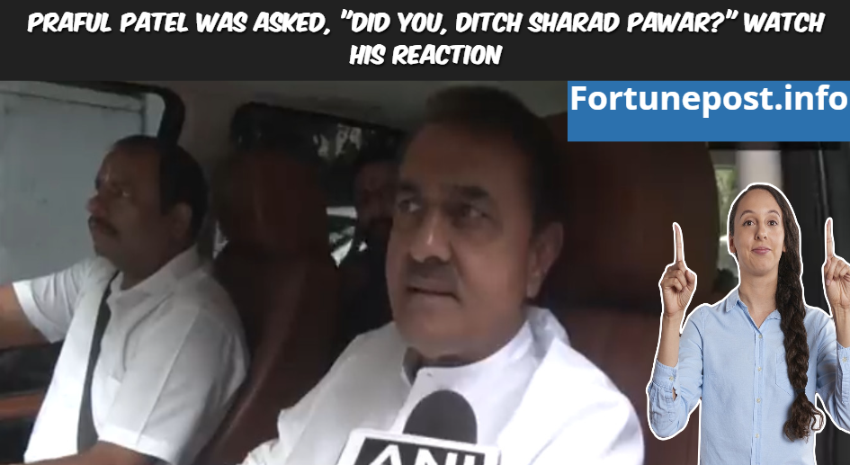 Praful Patel Was Asked, Did You, Ditch Sharad Pawar Watch His Reaction