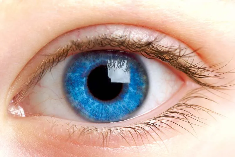 योगा एक्सपर्ट ने बताया कमजोर आंख की रोशनी मजबूत करने के 6 तरीके, एक महीने में हट जाएगा पावर वाला चश्मा